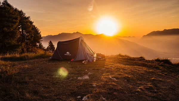 The Newest Inskip Point Camping Guide 2023