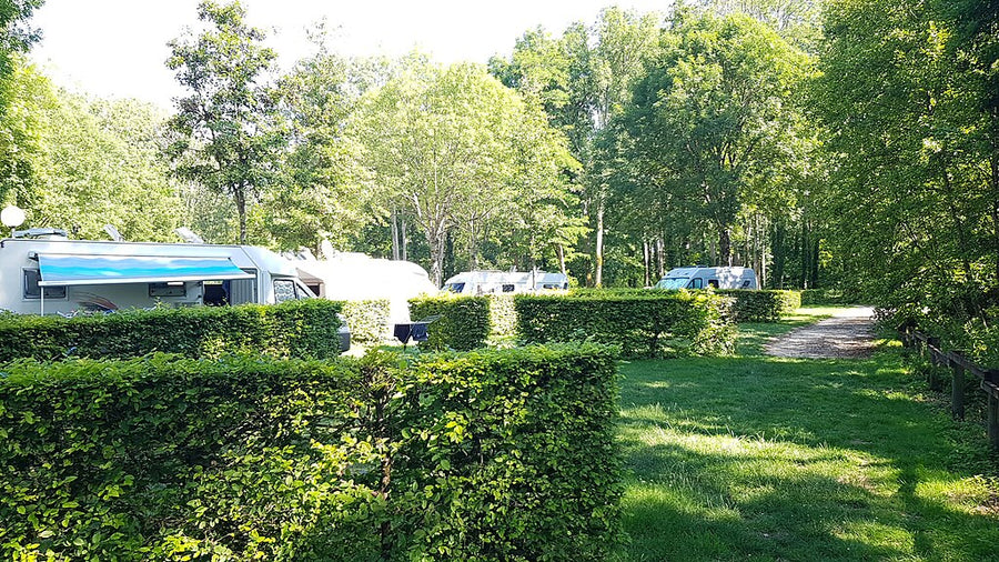 bluetti power camping