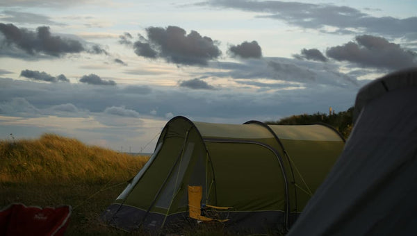 Starlink Mini vs. Standard: What Are the Differences?