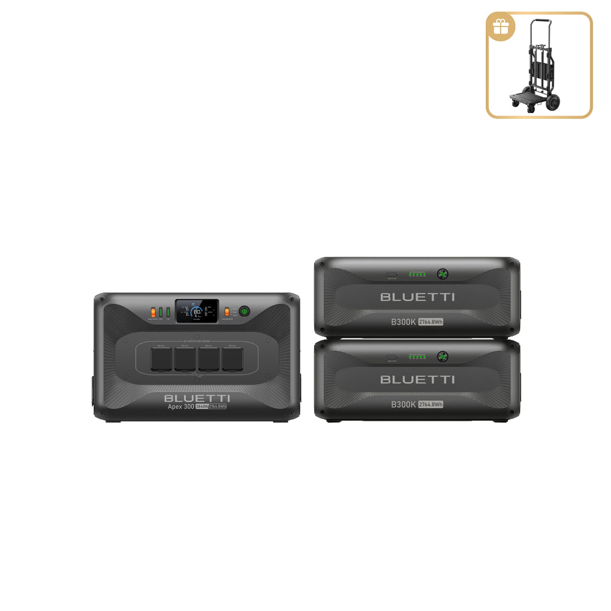 Apex300 2*B300K Home Battery Backup